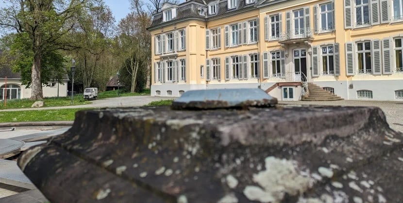 Demokratie im Gespräch: Picknicktafel im Schlosspark Museum Morsbroich