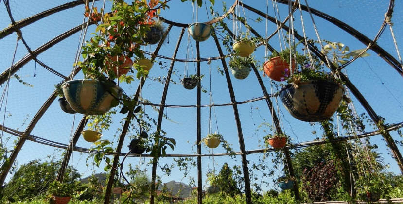 Gartenfest im Kleingartenverein Butterheide: Drei Tage voller Genuss und Unterhaltung