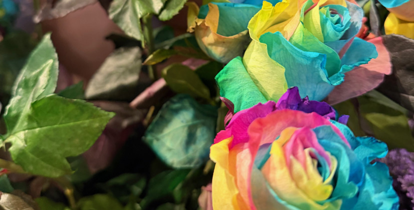 Anschlag auf den Berliner CSD: Grüne Ratsfraktion zeigt sich tief erschüttert