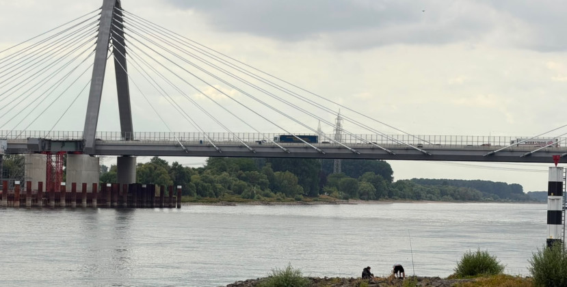 Niedrigwasser setzt Rheinstädte unter Druck